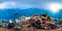 Philippines Reef
