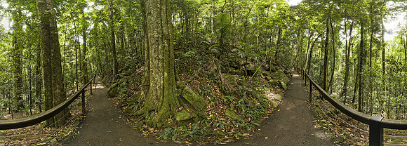 00000183 natural bridge walking track